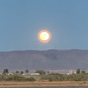 Meet your Posher, Dan